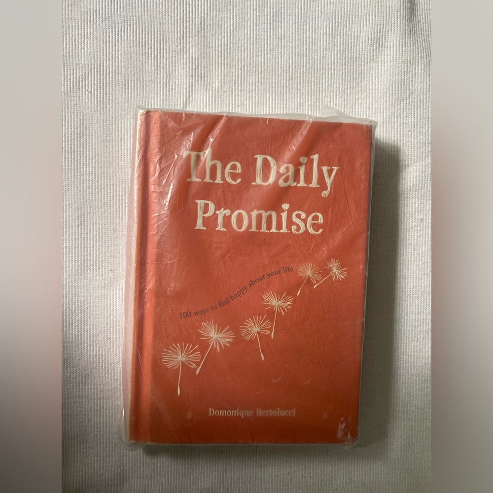 The daily Promise novel